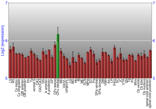 Multi-state expression graph
