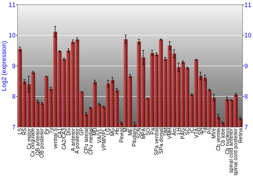 Expression graph