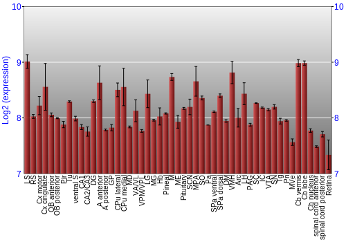 Expression graph