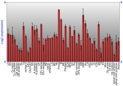 Expression graph