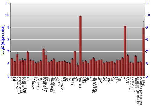 Expression graph