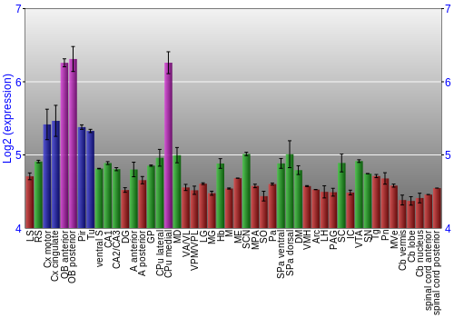 Multi-state expression graph