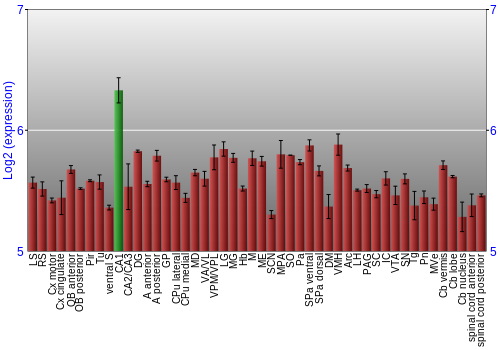 Multi-state expression graph