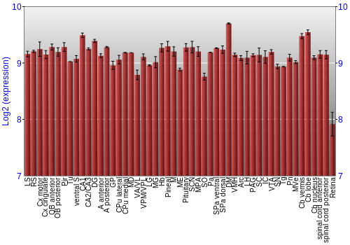 Expression graph