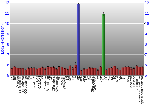 Multi-state expression graph