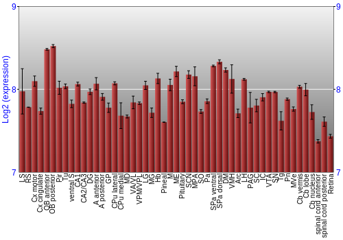 Expression graph