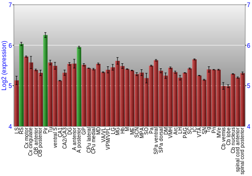 Multi-state expression graph
