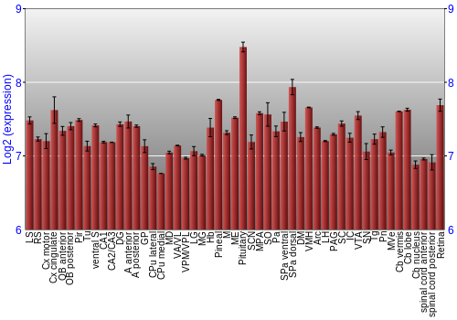 Expression graph