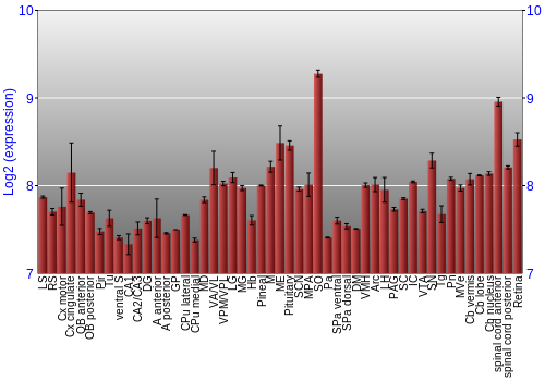 Expression graph