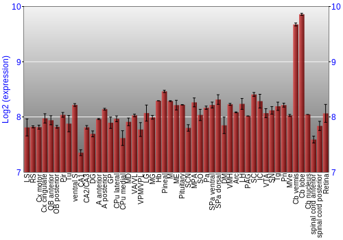 Expression graph