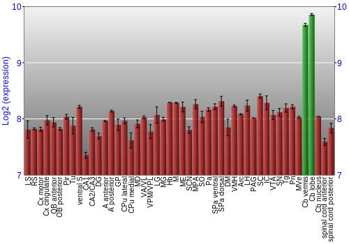 Multi-state expression graph