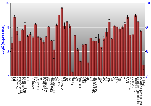 Expression graph