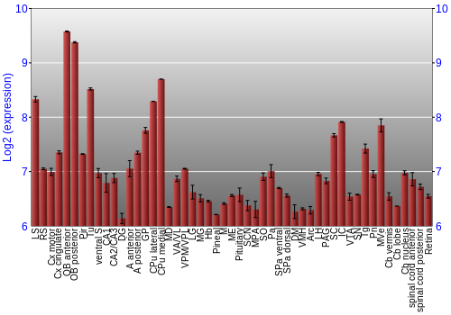 Expression graph