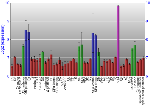 Multi-state expression graph