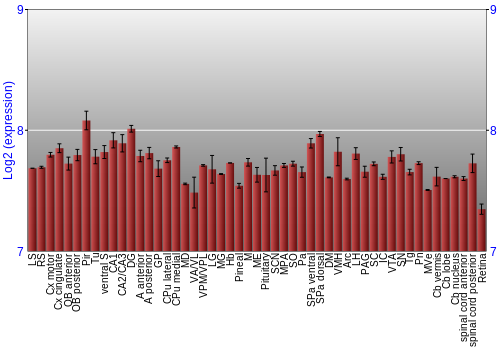 Expression graph