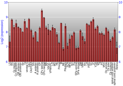 Expression graph
