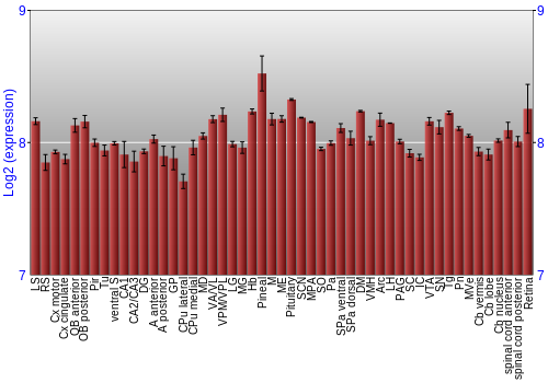 Expression graph