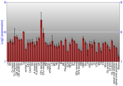 Expression graph