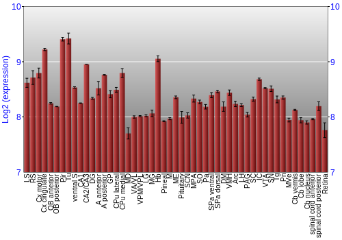Expression graph