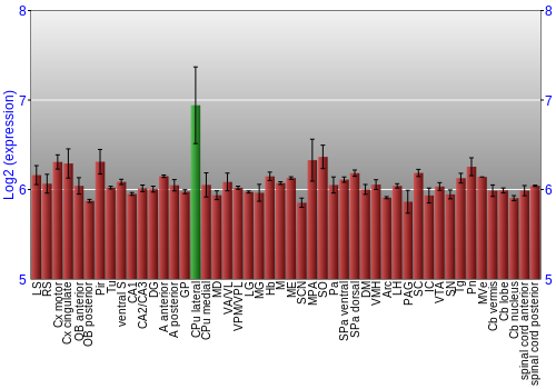 Multi-state expression graph