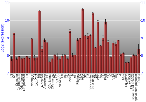 Expression graph