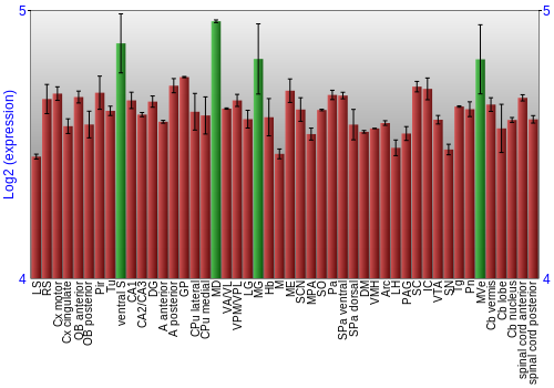 Multi-state expression graph