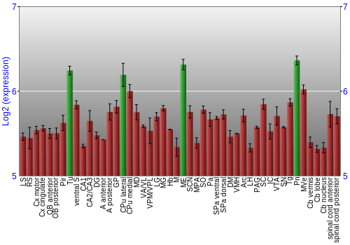 Multi-state expression graph