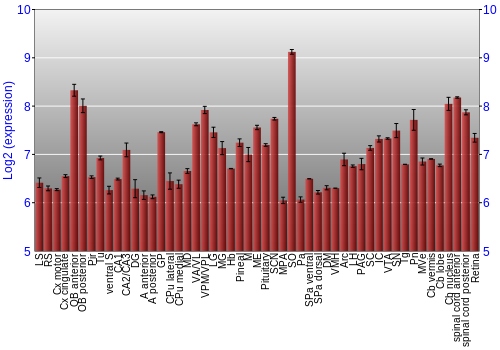 Expression graph