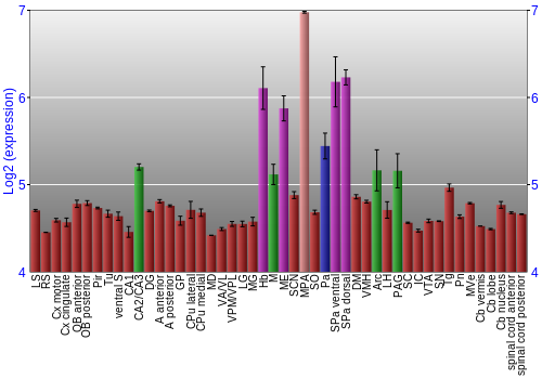 Multi-state expression graph