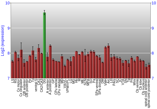Multi-state expression graph