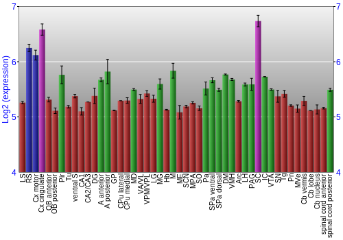 Multi-state expression graph
