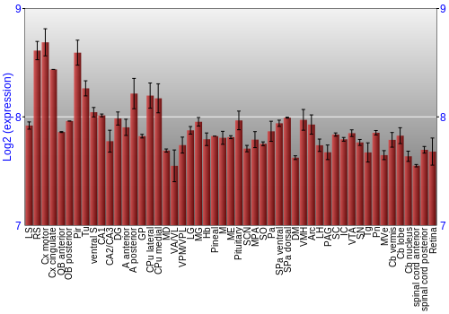 Expression graph