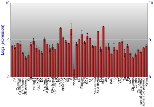 Expression graph