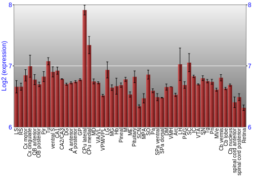Expression graph
