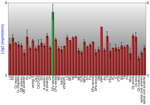Multi-state expression graph