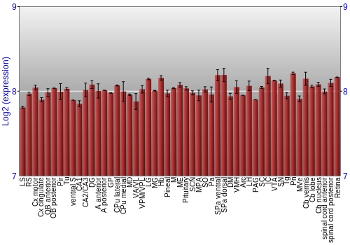 Expression graph