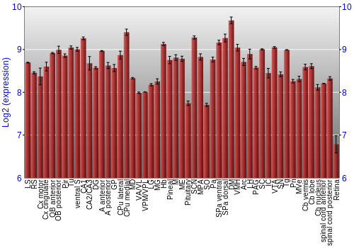 Expression graph