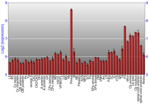 Expression graph