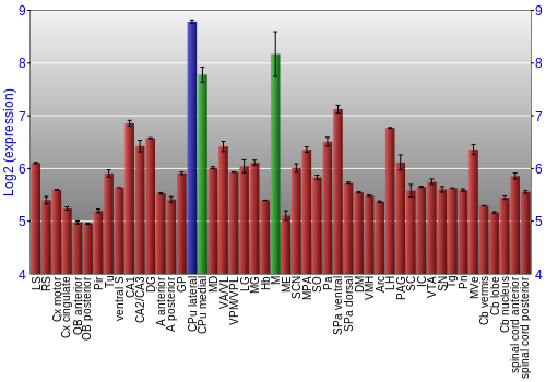 Multi-state expression graph