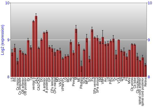 Expression graph