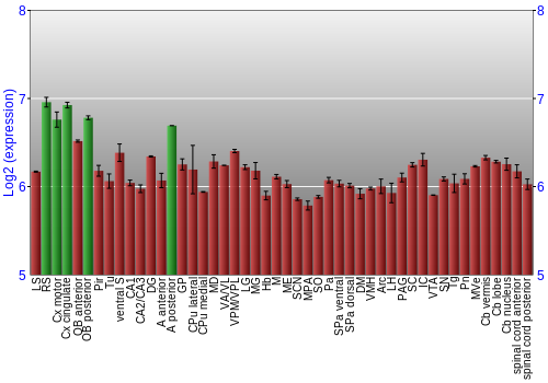 Multi-state expression graph