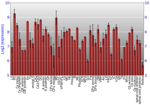 Expression graph