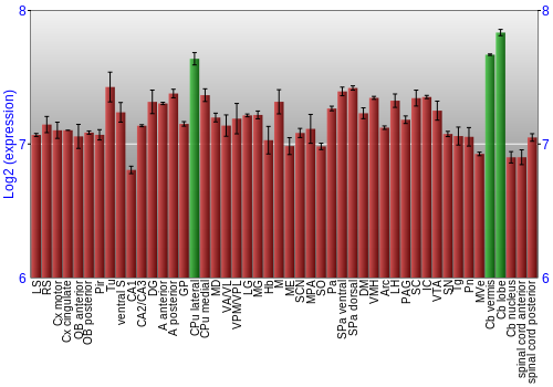 Multi-state expression graph