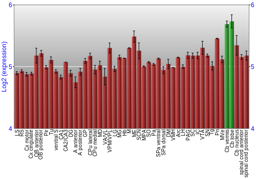 Multi-state expression graph