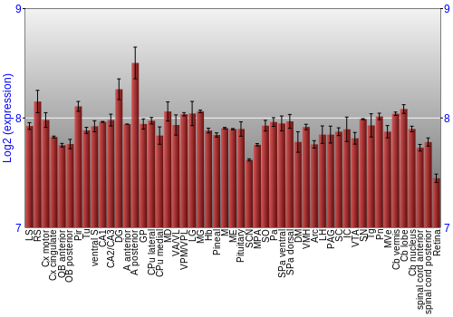 Expression graph
