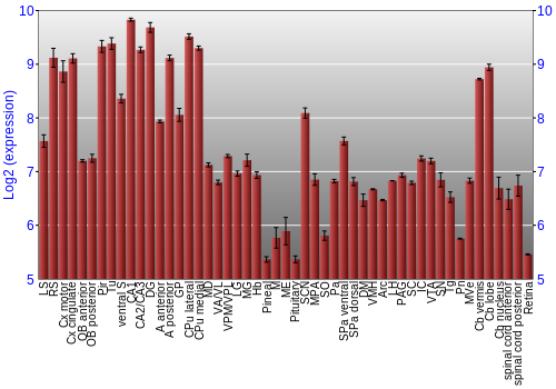 Expression graph