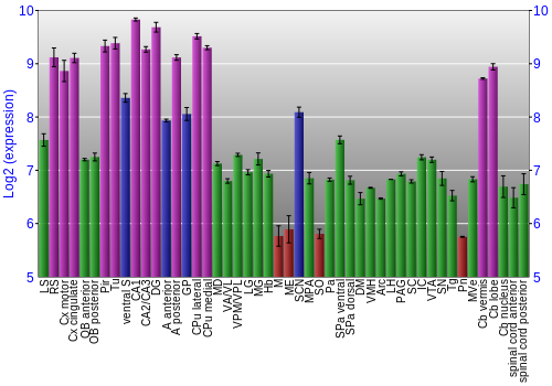Multi-state expression graph
