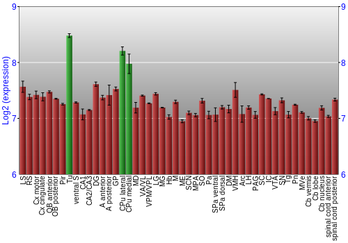 Multi-state expression graph