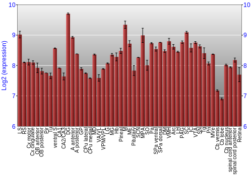 Expression graph
