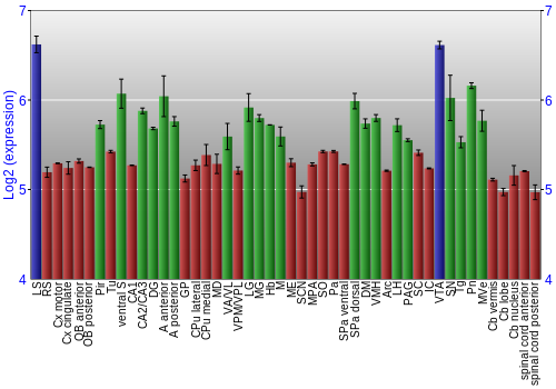 Multi-state expression graph
